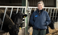 Partner Insight: How Multimin™ is combating deficiencies in beef herds