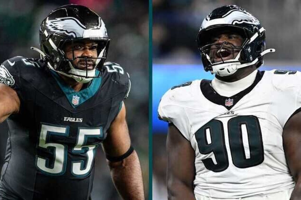 Brandon Graham says Jordan Davis will 'be way better than me'