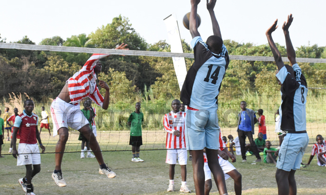 Volleyball: youngsters impress officials Volleyball: youngsters impress officials