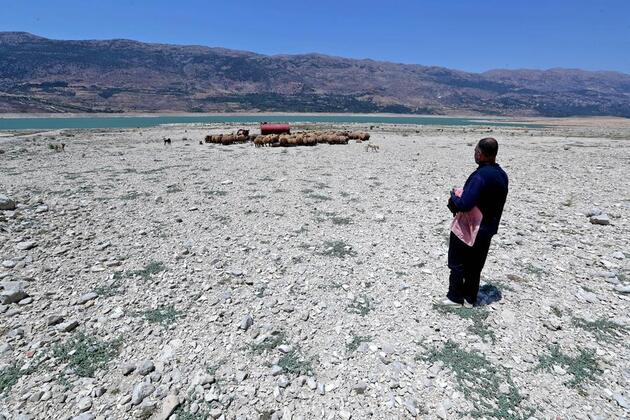 Adapting to extremes -- Lebanon's farmers battle heat and drought