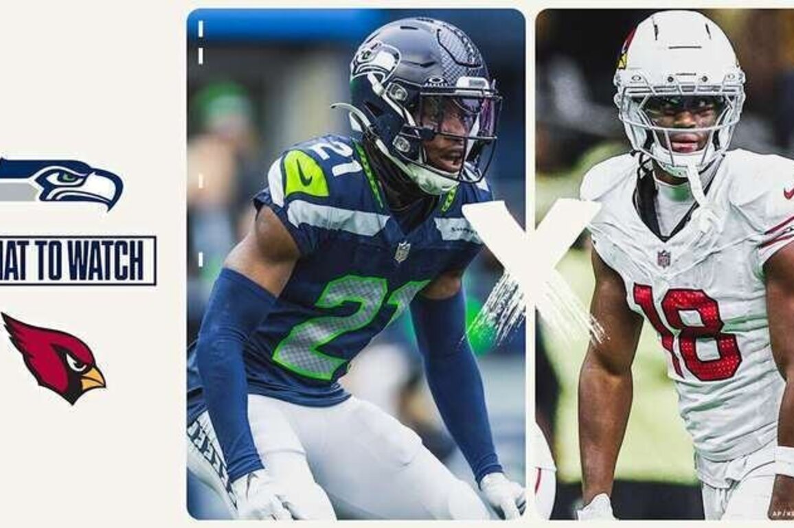 Was du zum Seahawks-Rckspiel gegen die Cardinals wissen musst