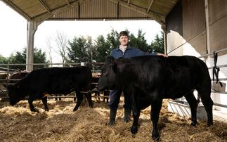 NFU raises concerns over university vet school closure