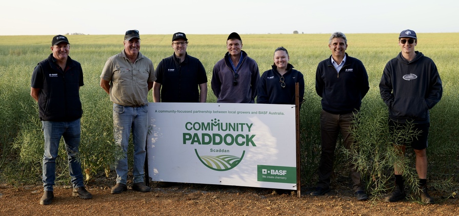 BASF has spread its Community Paddock program to Western Australia with a canola crop near Scaddan.