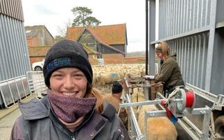 From the lambing shed: Hannah Murrell - "It's not unusual for me to dream about sheep at night"