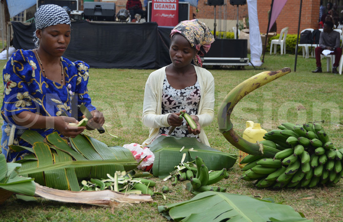  niks aganda kobazambogo students demonstrate the process of preparing matooke