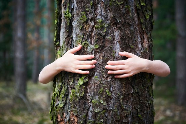 Is it possible to measure sustainable development?