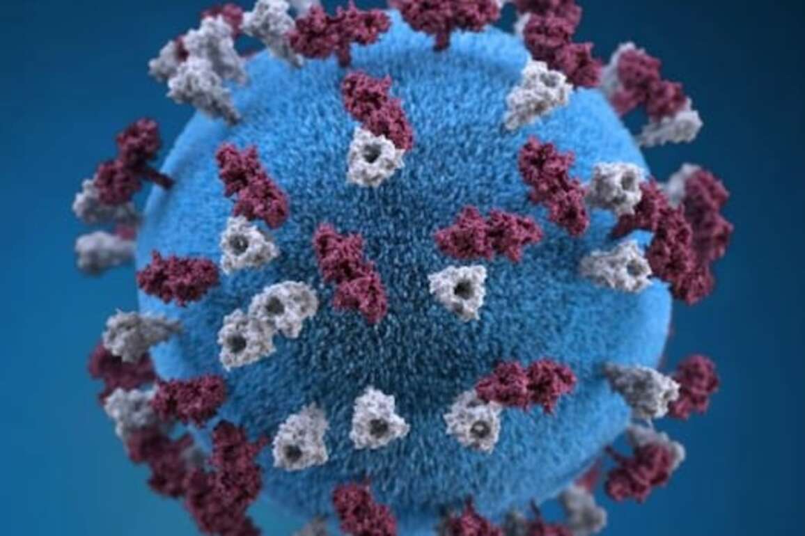 AHS expands measles advisory to entire south zone due to 'widespread' exposure risk