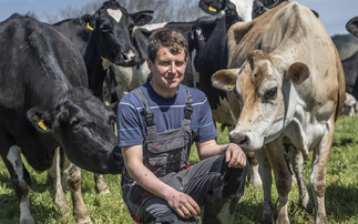 In your field: Alan Carter - "All you need for a summer of checking stock with your children and a dog is: a bag of electric fence wire, CDs (Johnny Cash and ABBA), ball valve arms, tennis balls and car seats"