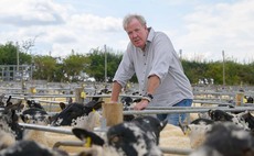 Clarkson's Farm sparks £20k crowd funder for bTB-hit dairy farmer