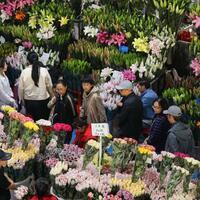 Holiday consumption market underscores new growth drivers of Chinese economy