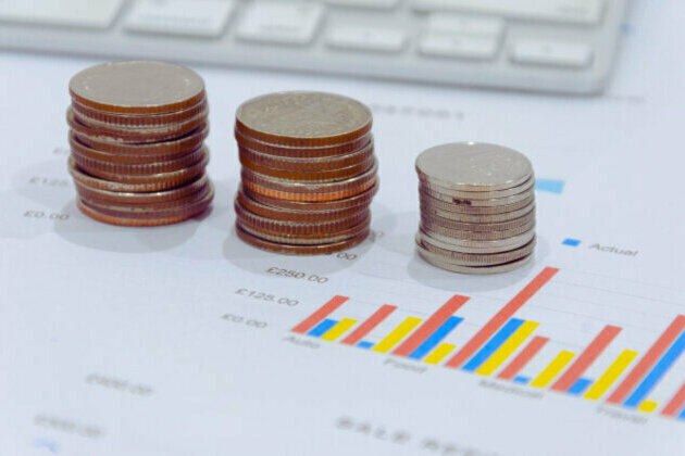 IMF Predicts Slower Economic Growth for Bulgaria in 2025