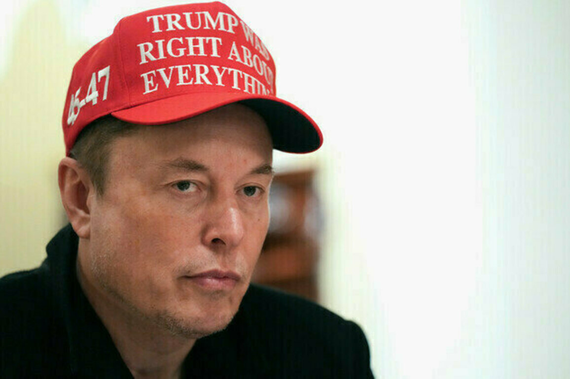 Musk wants to seed Earth with legion of high-IQ babies  WSJ
