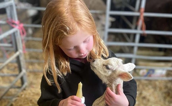 Lambing 2023: Little farmers bond with pet lamb Tiny