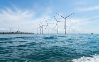 Why regenerative strategy is becoming the next frontier for business