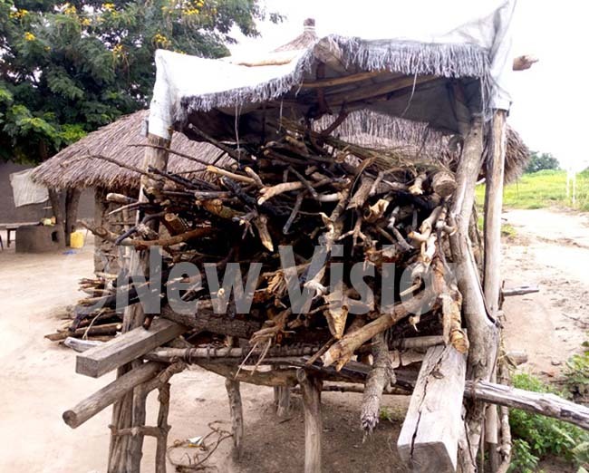  undles of fire wood packed at home in riwa illage in hino amp efugee ettlement hoto by obert riaka