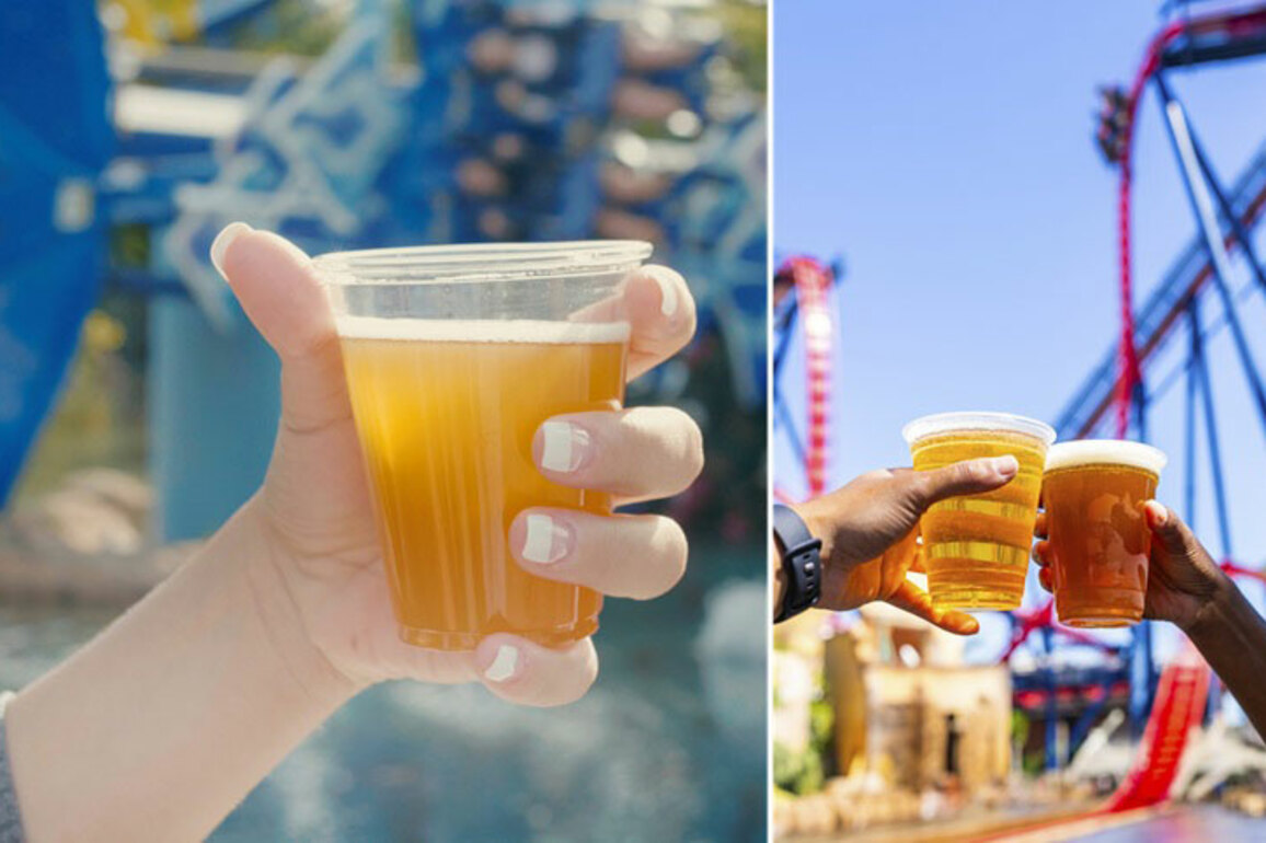 Free Beer is Back at Busch Gardens in Tampa, SeaWorld Orlando This Summer