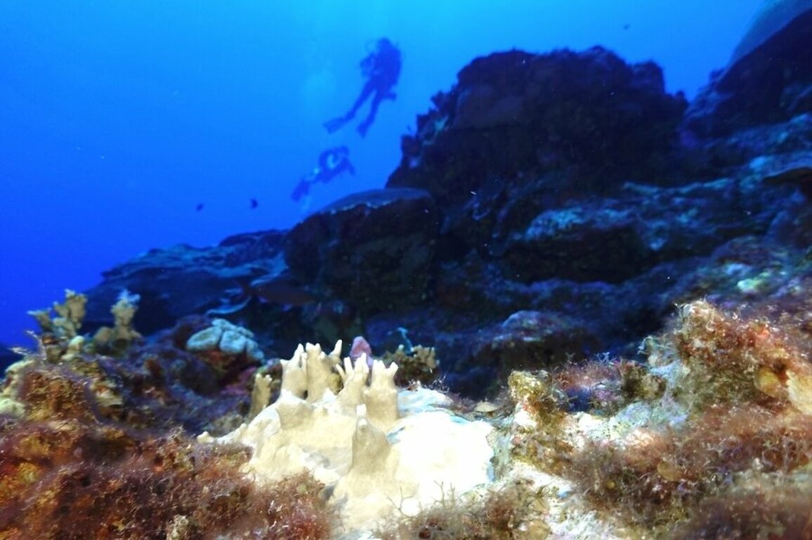 A new anchor for ocean protection