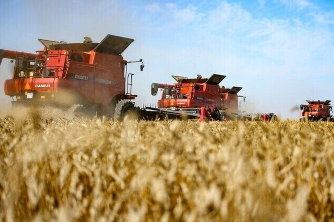 Russia doubles wheat exports to African country