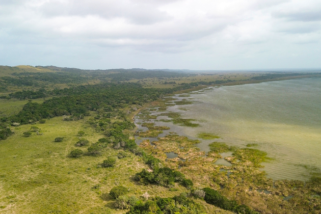 SOUTH AFRICA-KWAZULU-NATAL-ISIMANGALISO WETLAND PARK