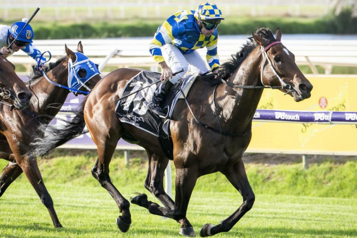 Jokers Grin out to show hes a real Quokka contender for Ladbrokes in Saturdays Roma Cup