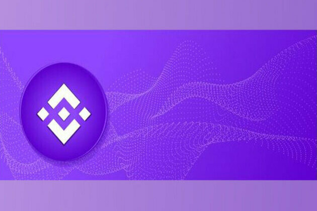 Moshnake, Binance Coin, and PancakeSwap -- Developers are leveraging The Binance Smart Chain Infrastructure to build exciting yet sustainable projects