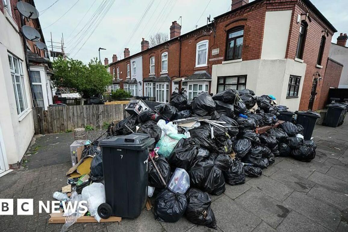 Birmingham bin collections not back to normal, politicians say