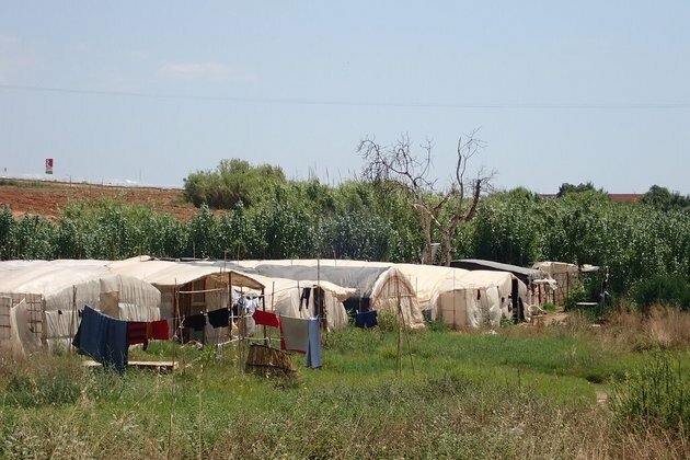 Migrant strawberry pickers face deadly risks living in flammable shacks