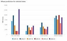 Wheat production played a big role in a rise in the value of Australian agriculture last financial year. Table courtesy ABS.