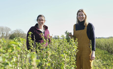 Currant affairs: Regenerative agriculture trial to squeeze carbon from Ribena supply chain