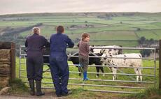Long-term future of family farms at risk without Universal Credit support