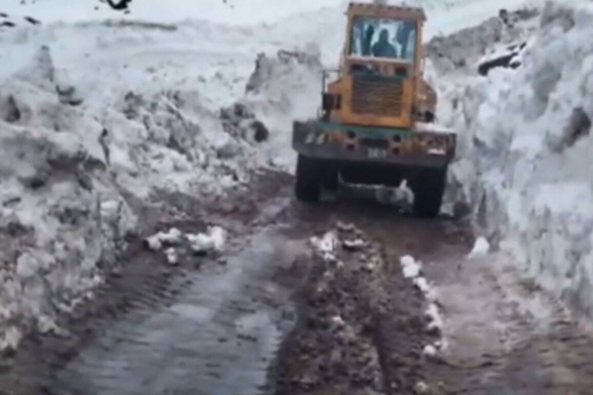 J-K: Twin avalanches hit Bandipora-Gurez road; BRO launches clearance operations to restore connectivity