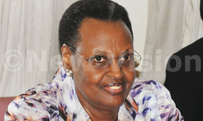 Over 100 mineral companies in Karamoja Over 100 mineral companies in Karamoja