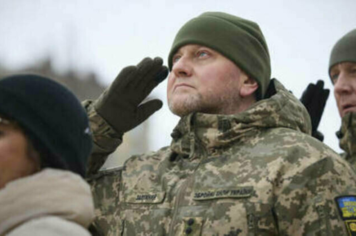 Ukraine should ask US for obsolete weapons - Zaluzhny