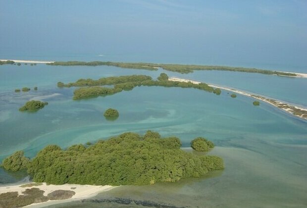 EAD announces 'Ghars Al Emarat' initiative to plant mangrove trees for each visitor to COP28