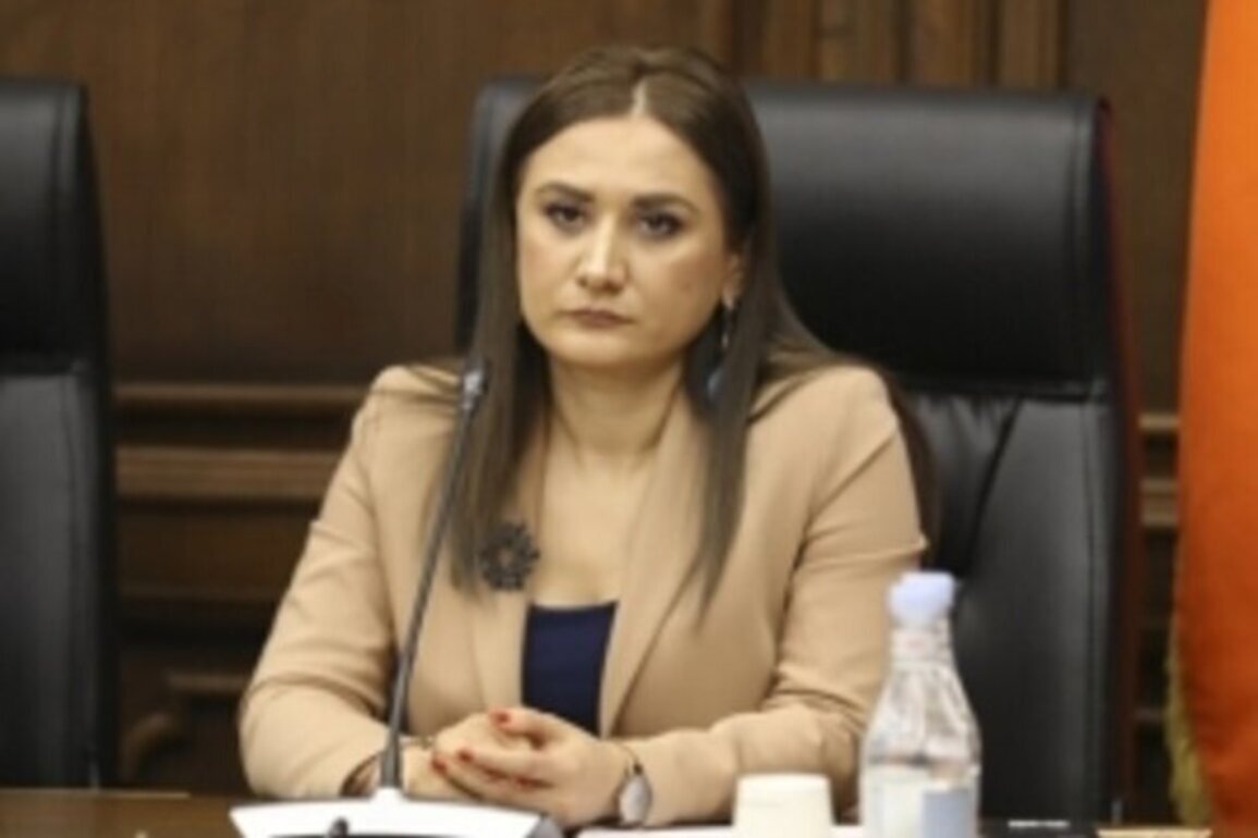 Julhakyan elected PACE representative to GRECO