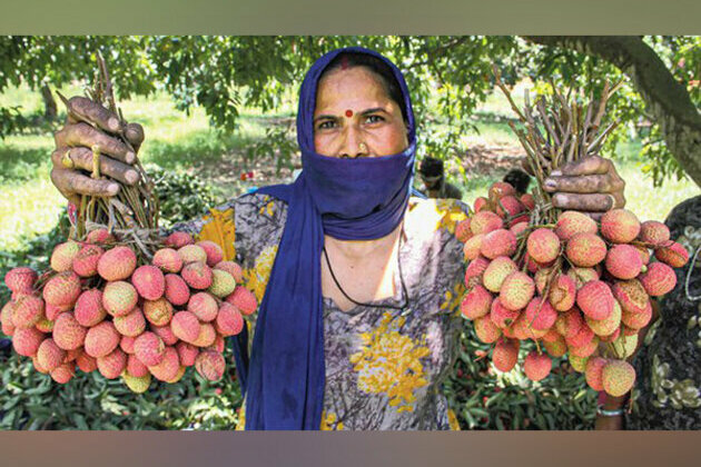 Coca-Cola India's Project Unnati has touched the lives of 3.5 lakh plus farmers across 12 states in India