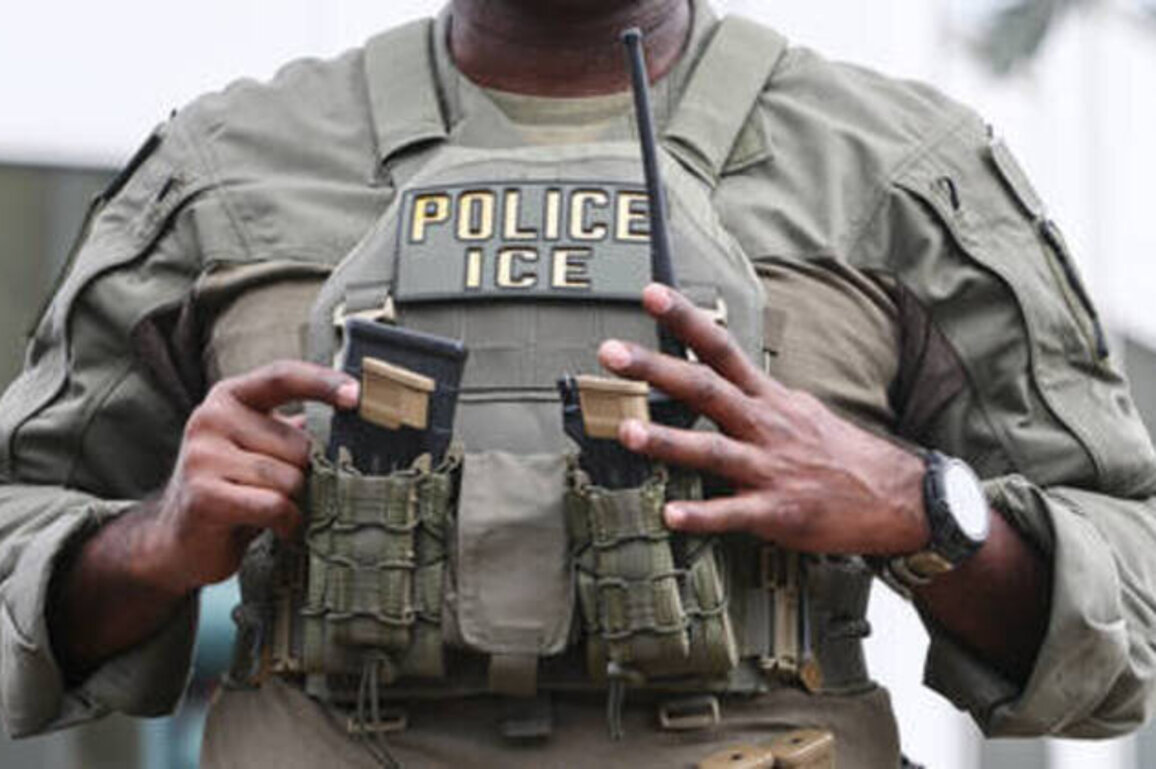 Over the top? ICE agent shoots soccer mom, blames 'domestic terrorism'