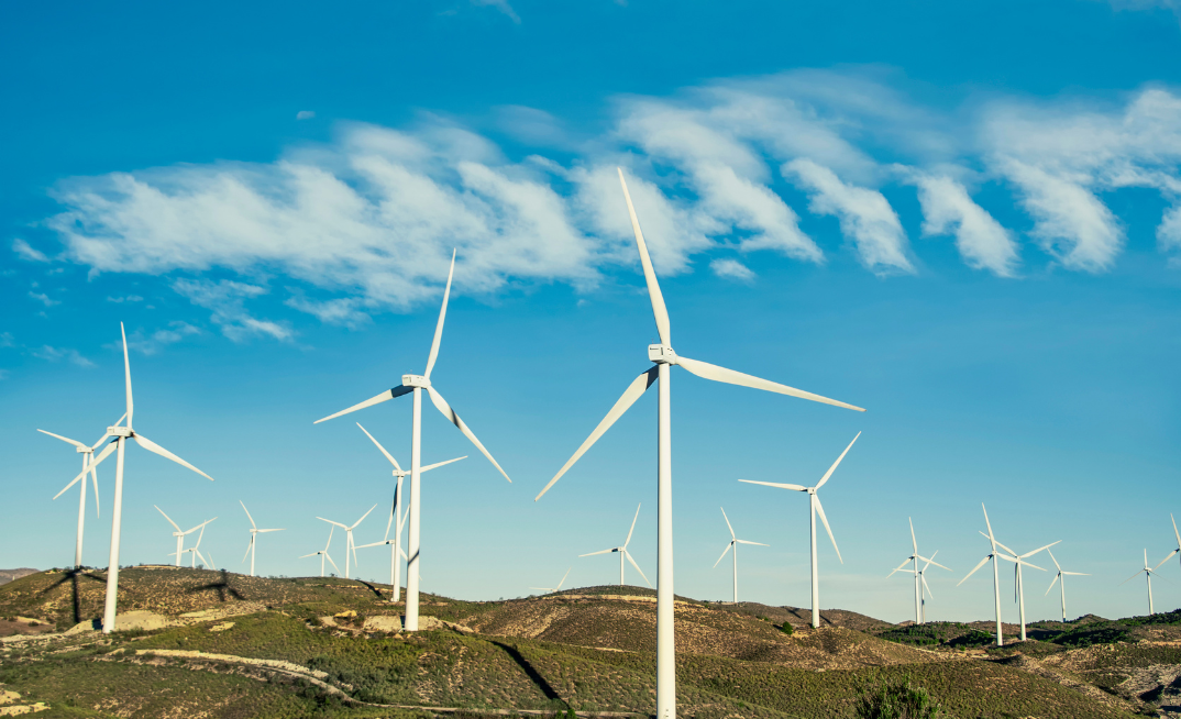 St Patricks Plains lucky day as appeal dismissed