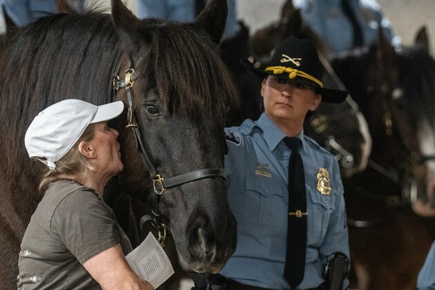 Police horse &#39;Teak&#39; retires from last mounted police unit in Minnesota