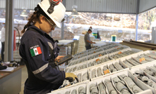 Endeavour Silver has reported another round of strong exploration results from Bolanitos