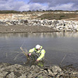  Marshalls gains second biodiversity benchmark