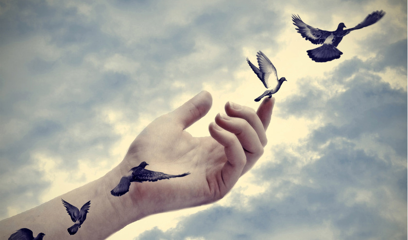  Birds flying from hand     © M Photo/Shutterstock