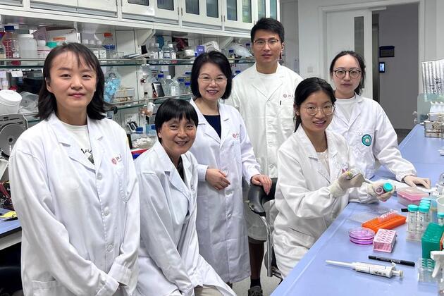 Boost for women as Chinese scientists identify key target for treating adenomyosis