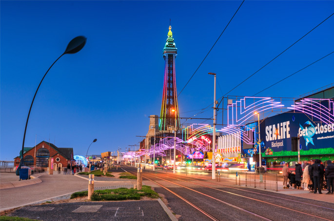 Patryk Kosmider / Shutterstock