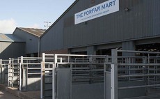 Support for farmer takeover to save Forfar auction mart