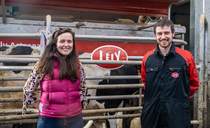 'Life-changing' FETF grant helps fund milking robots on Derbyshire dairy farm
