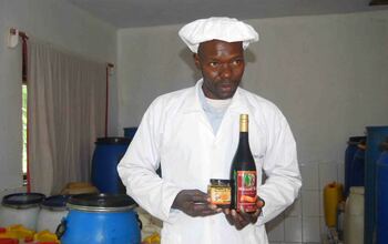 Okufuna ssente mu kukola wine