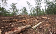 Qld land clearing laws fail, farmers relieved