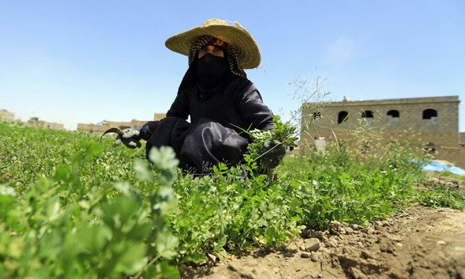 Biting famine forcing people to eat leaves Biting famine forcing people to eat leaves