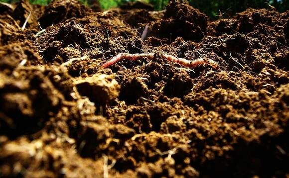 How soil biology can ward off pests and disease - but should we buy it in?